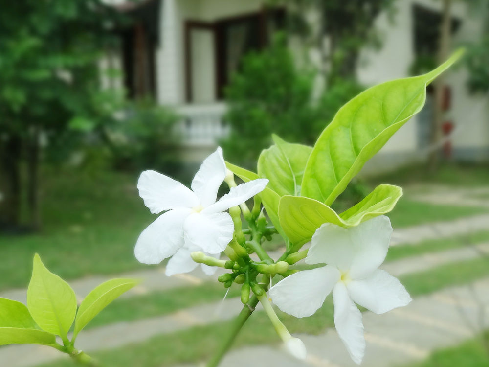 Hoi An Memority Villas & Spa Bagian luar foto